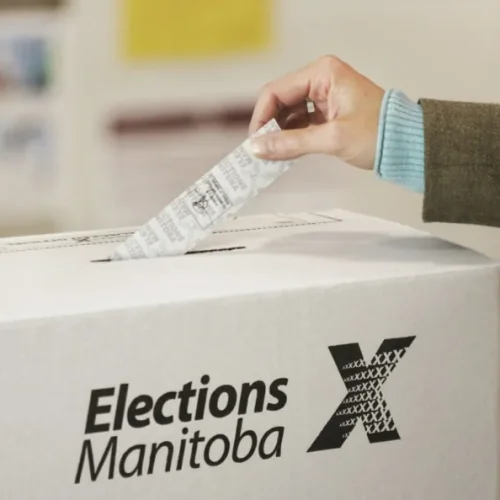 Elections 101: The Informed Voter Guide