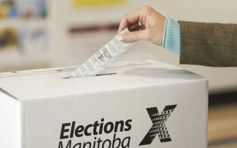 Elections 101: The Informed Voter Guide